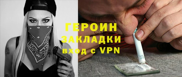 хмурый Арсеньев