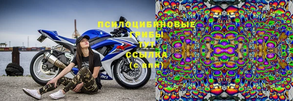 хмурый Арсеньев