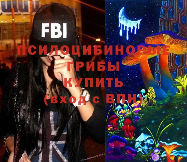 хмурый Арсеньев