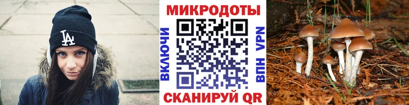 Купить Балтийск Псилоцибиновые грибы GOLDEN TEACHER