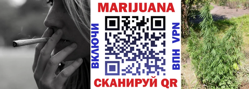 Шишки марихуана конопля  Купить  Балтийск 